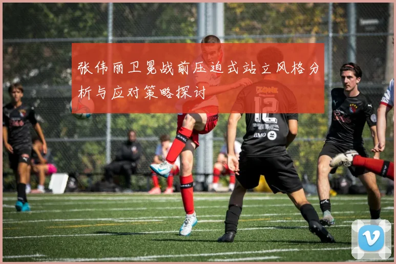 张伟丽卫冕战前压迫式站立风格分析与应对策略探讨